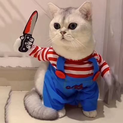 Spooky Doll Pet Costume – Halloween Cosplay for Cats & Small Dogs